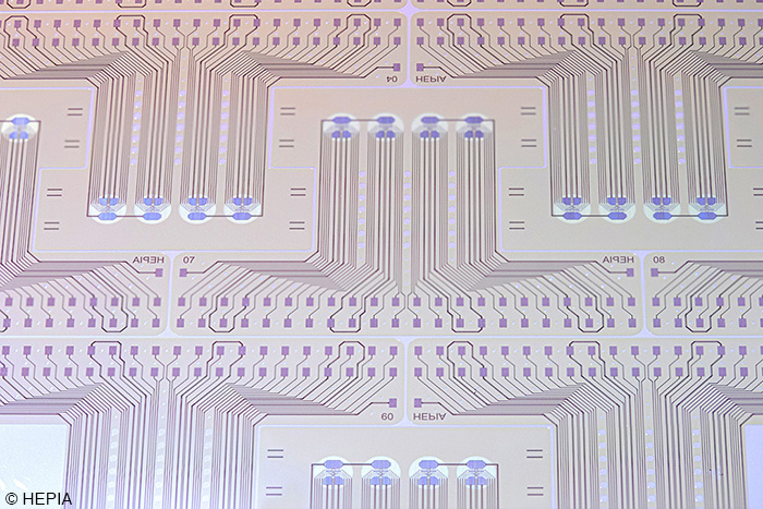 MEA32_4x8 (HEPIA) polyimide membranes (MicroElectrodeDevices.com)