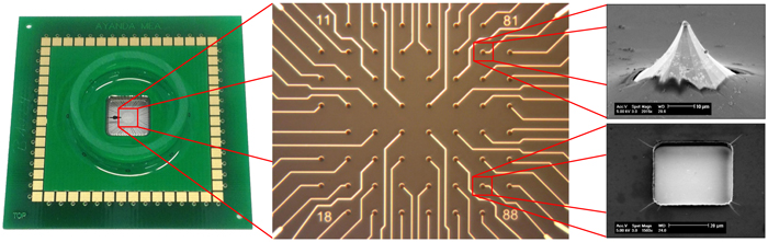 Microelectrode array - Overview (MicroElectrodeDevices.com)